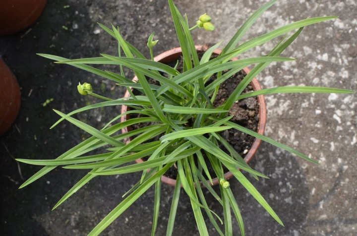 5fe824159472b1244e81c1e897afcf0d