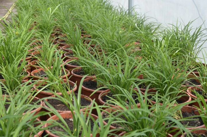 a31f22251599f5dc7b18aa0f95d78894