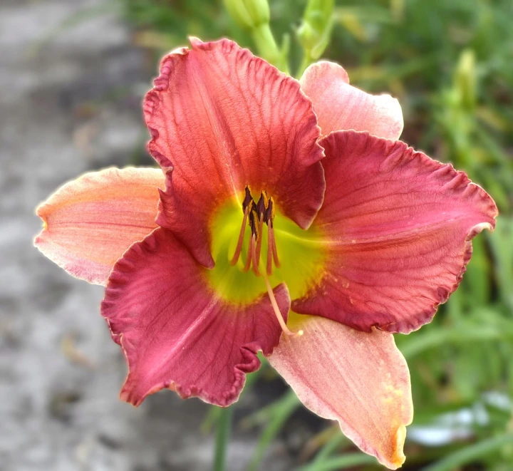 0a006c1c2791e40cff9b1d8a00e7ecc6