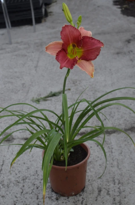 d2f883cfe7431bc1eb67dc60a1bdfd30