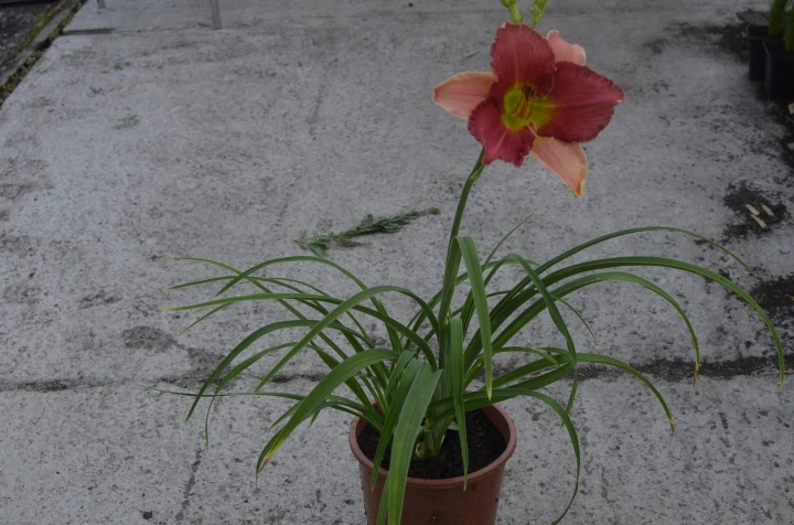 12218b63b09894462c62a97d5c90b968