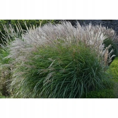 5e20bb49bde1ea35707915d81eef949f