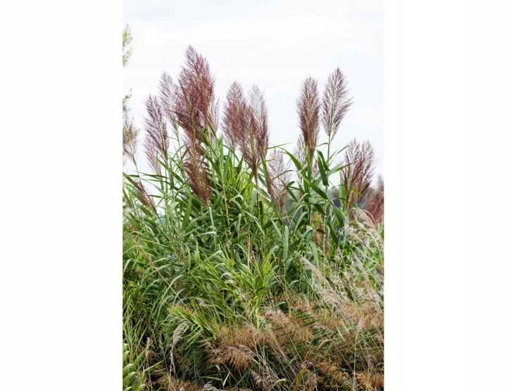 59cb6eb76020ff171bbc20c4cd84f033